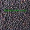 black pepper